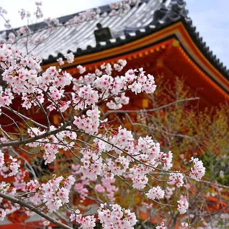 Stay Sakura Kyoto Tambaguchi Luaran gambar